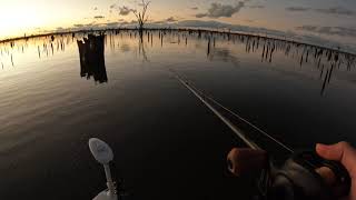 Lake Mulwala Drawdown 2022 - Murray Cod Fishing