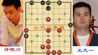 这步棋价值300000万人民币！许银川全程走兵，杀的王天一下跪求饶