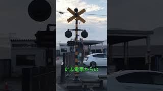 【和歌山電鐵】次初と始発 #鉄道