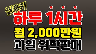 과일 위탁 판매 첫 달 2,000만원 유튜브 보고 따라 해본 찐후기(순수익 팩트 체크)