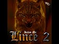 lince 2