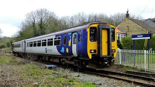 Northern Sprinter ,  156487 , at Sleights and passing over my camera .