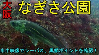 【大阪の釣り】なぎさ公園の釣りのポイントを水中映像で紹介！