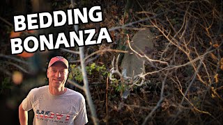 What Deer Really Do in Their Bedding Areas | Bowhunting Whitetails w/ Bill Winke