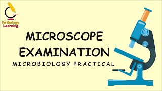 Microscope Practical | Pathology Learning