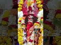 jai maa tara tramaa maatara tarapith adishakti viral short shorts shortshorts