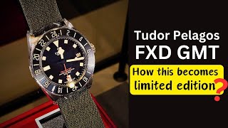 *HANDS ON REVIEW* Tudor Pelagos FXD GMT