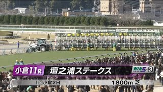 【競馬】2025年 壇ノ浦ステークス(4歳以上3勝クラス)【セキトバイースト / 藤岡佑介】