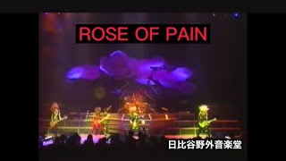 1989 XJAPAN  (X)   ROSE OF PAIN PV＋客録