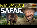 Zimbabwe Safari 2026: Pro Tips, Safety & Victoria Falls