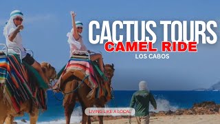 What an experience! Camel Ride in Los Cabos Cactus tours