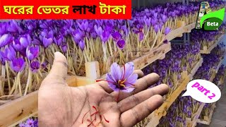 14 লাখের রেনু তৈরি করবেন কিভাবে? Saffron Farming in India | ঘরের ভেতোর কেশর চাষ করে লাখ টাকা| Part 2