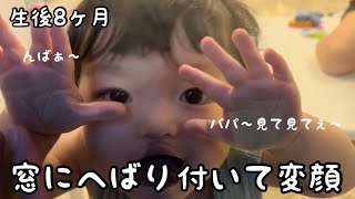 爆笑★窓にへばり付いて変顔する赤ちゃん【生後8ヶ月】【男の子】