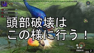 【MHXX実況】攻略番外編　ホロロホルル　頭部破壊