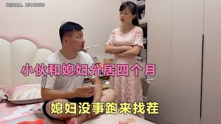 小伙和媳妇分居四个月，媳妇没事跑来找茬，结局太搞笑了