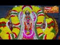 🔴live தைப்பூசம் முருகன் மஹா அபிஷேகம் 2025 thaipusam murugan abhishekam murugan thaipusam palani