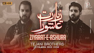 New Nohay 2023 | Ziyarat e Ashura | Tejani Brothers | Title Noha 2023 | Muharram Nohay 2023/1445