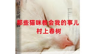 村上春树《那些猫咪教会我的事儿》#猫咪 #情感 #日本 #作家 #猫 #狗狗 #朗读 | 李奥诵读20241220