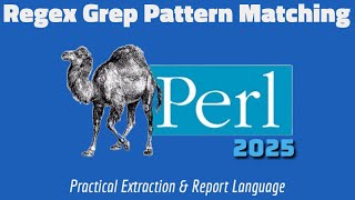 Mastering Perl Regex: How to Use grep for Powerful Pattern Matching!