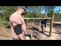 how to pull fence wire tight woven wire field fence install