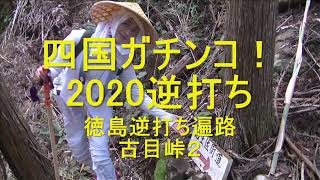 四国ガチンコ！2020逆打ち さゆりの徳島逆打ち遍路旅３