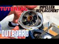 How to Replace an Outboard Motor Impeller on a Mercury Four Stroke #tutorial