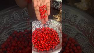 Rosary Pea | குன்னிமுத்து | குன்றிமணி | #tamilshorts #shortsfeed #shortsvideo #allwinjilly