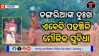 Dangaria Tribes In Rayagada Odisha । Dangaria Yet to Get Their Fundamental Rights @News24x7Odisha