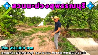 Ep.131 #ขายที่ดินสวนผลไม้สุพรรณบุรี  อ.เมืองสุพรรณบุรี ต.สนามคลี ไร่ละ 450,000 บาท (แบ่งขาย 3 ไร่)