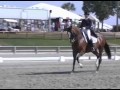 dressage With Janet Foy, Judges GP Special Test, scores and in-depth commentary