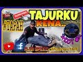 Menajur Ikan Tapah Sungai Muar #ikantapah #Tajurikantapah