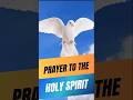 Come Holy Spirit Prayer | A Powerful Prayer for Guidance  #catholicpray #prayer