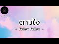 ตามใจ - Fellow Fellow