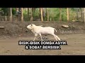 [FULL] Bisik Bisik Domba Asyik Dan Sobat Berisik | SI OTAN (23/03/21)