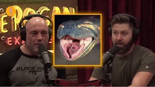 100ft Gaint Snake Spotted | JRE | Podcasts