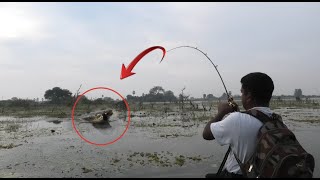 Best Amazing Snakehead Fishing Best Spot పొర్క పొర్క పట్టినం గిక్కడ కొర్రమెన్ చేపలని మామ bros