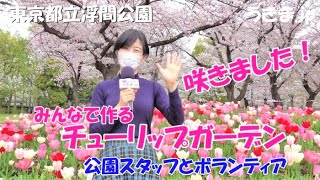 東京都立浮間公園　みんなで作るチューリップガーデン 2021年春　北区浮間　板橋区舟渡