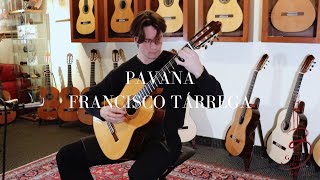 Francisco Tárrega | Pavana on Ramin Fallah and Andres D. Marvi Classical Guitars