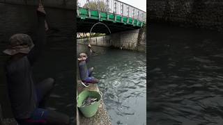 A strange technique of fishing with oysters