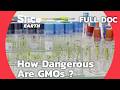 GMOs:  Breakthrough in Agriculture or  A Menace to Our Health? | SLICE EARTH | FULL DOCUMENTARY