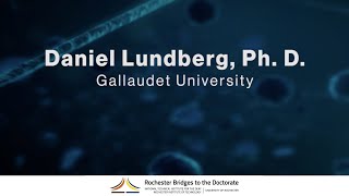 Bridges to Ph.D. Seminar: Daniel Lundberg