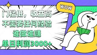 【简单好做】门槛低，收益高，不需要任何经验，谁做谁赚，单日利润3000+