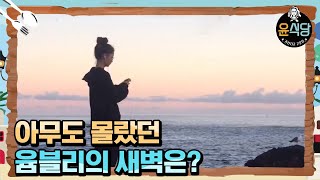 [#윤식당2] 가라치코 '새벽요정' 정유미~♥ 180323 EP11 #11