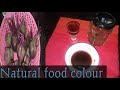 natural food colour உணவில் சேர்க்கப்படும் இயற்கை சாயங்கள் எவ்வாறு தயாரிக்கலாம் வீட்டிலேயே