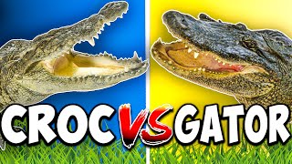 Alligator vs Crocodile: What's The Difference?