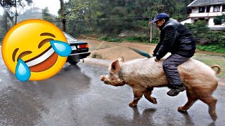 Funny & Hilarious Peoples Life😂 - Fails, Memes, Pranks and Amazing Stunts by Jui
