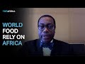 Africa can determine world's food security