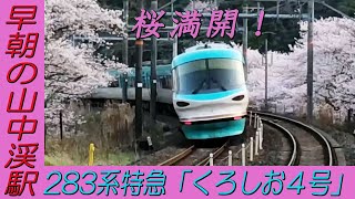 桜が満開の早朝の山中渓駅を通過！283系特急「くろしお4号」新大阪行き