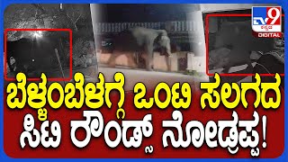 Human-Elephant Conflict: ಮೂಡಿಗೆರೆ ಪಟ್ಟಣದ ರಸ್ತೆಯಲ್ಲಿ ಒಂಟಿ ಸಲಗದ ವಾಕಿಂಗ್ ದೃಶ್ಯ ಸಿಸಿಟಿವಿಯಲ್ಲಿ ಸೆರೆ|#TV9D