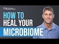 Gut Dysbiosis:  What Is It and How to Heal Your Microbiome?